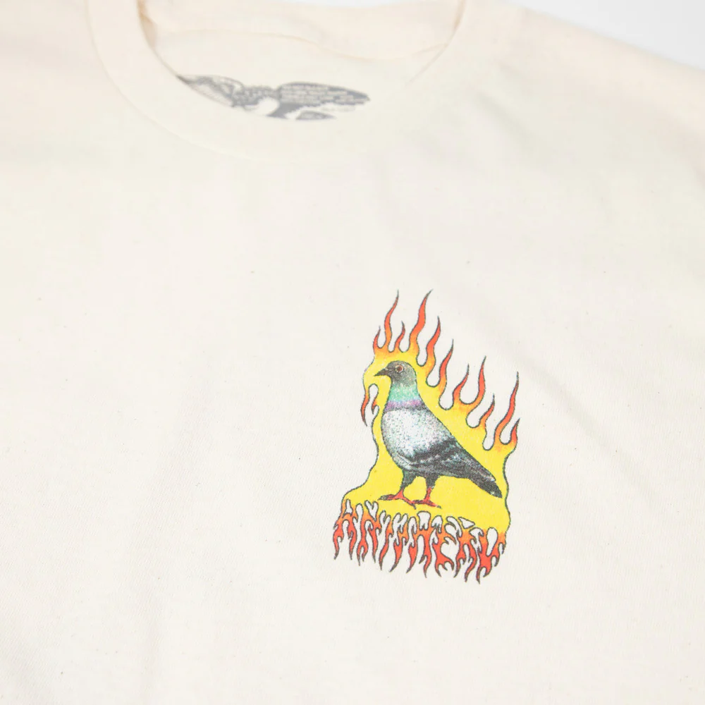 Anti Hero Skateboards - Flame Pigeon T-Shirt - Natural / Multi - Image 4
