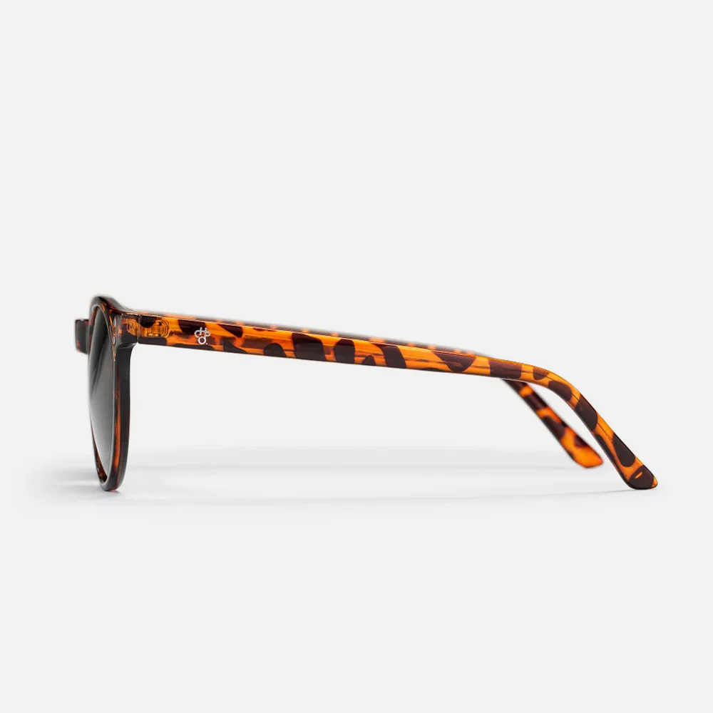 CHPO - Toro Sunglasses - Turtle Brown / Green - Image 3