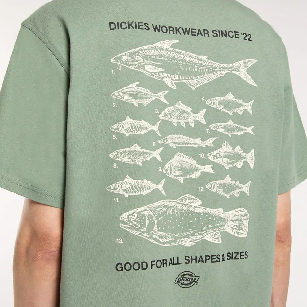 Dickies - Laryville T-Shirt - Sea Spray - Image 5