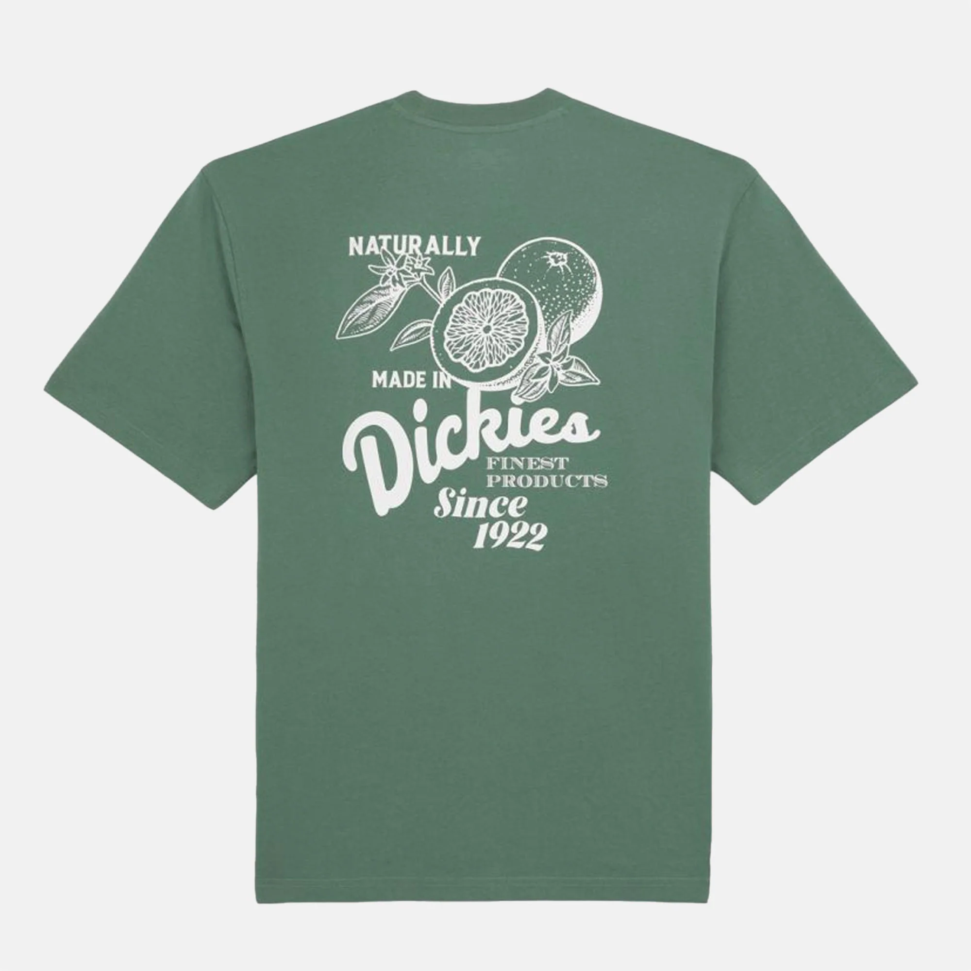 Dickies - Raven T-Shirt - Forest