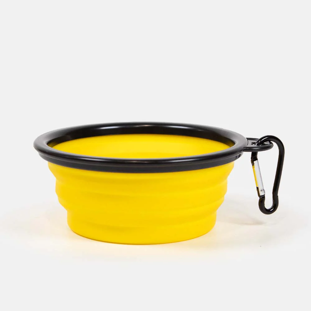 Krooked Skateboards - King Dog Bowl - Yellow / Black - Image 2
