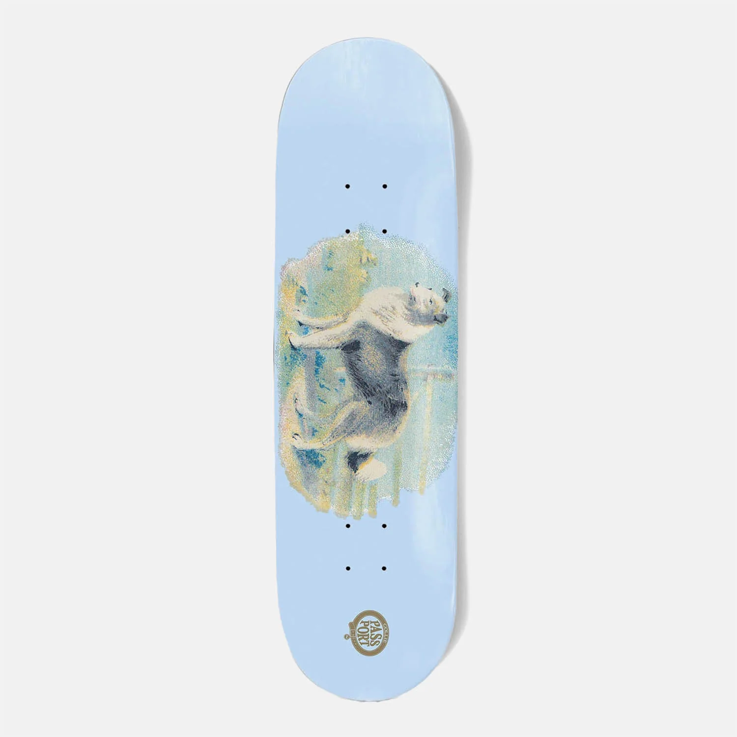 Pass Port Skateboards - 8.5" 'Collie' Hybrid Vigour Skateboard Deck