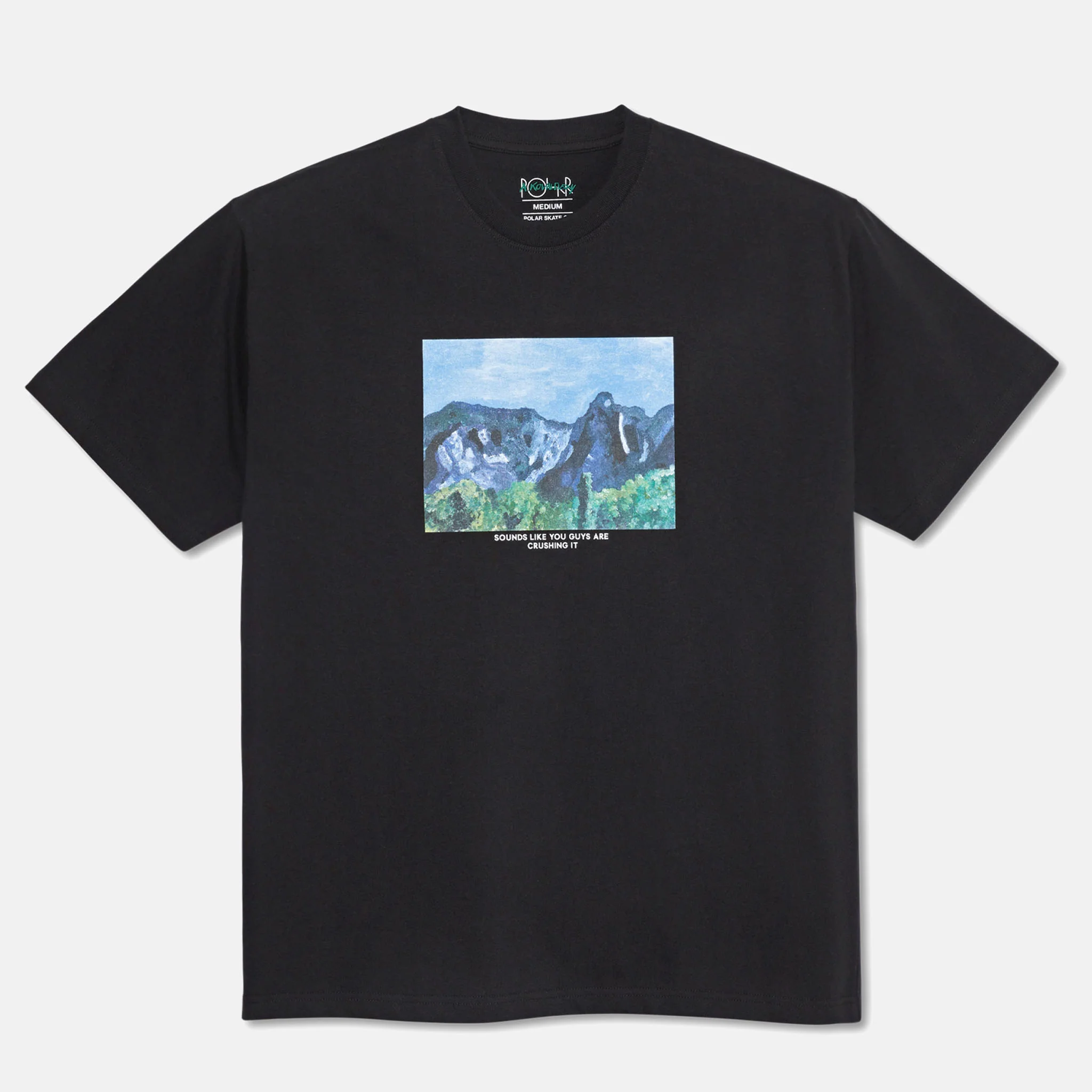Polar Skate Co. - Sounds Like You Guys Are Crushing It T-Shirt - Black