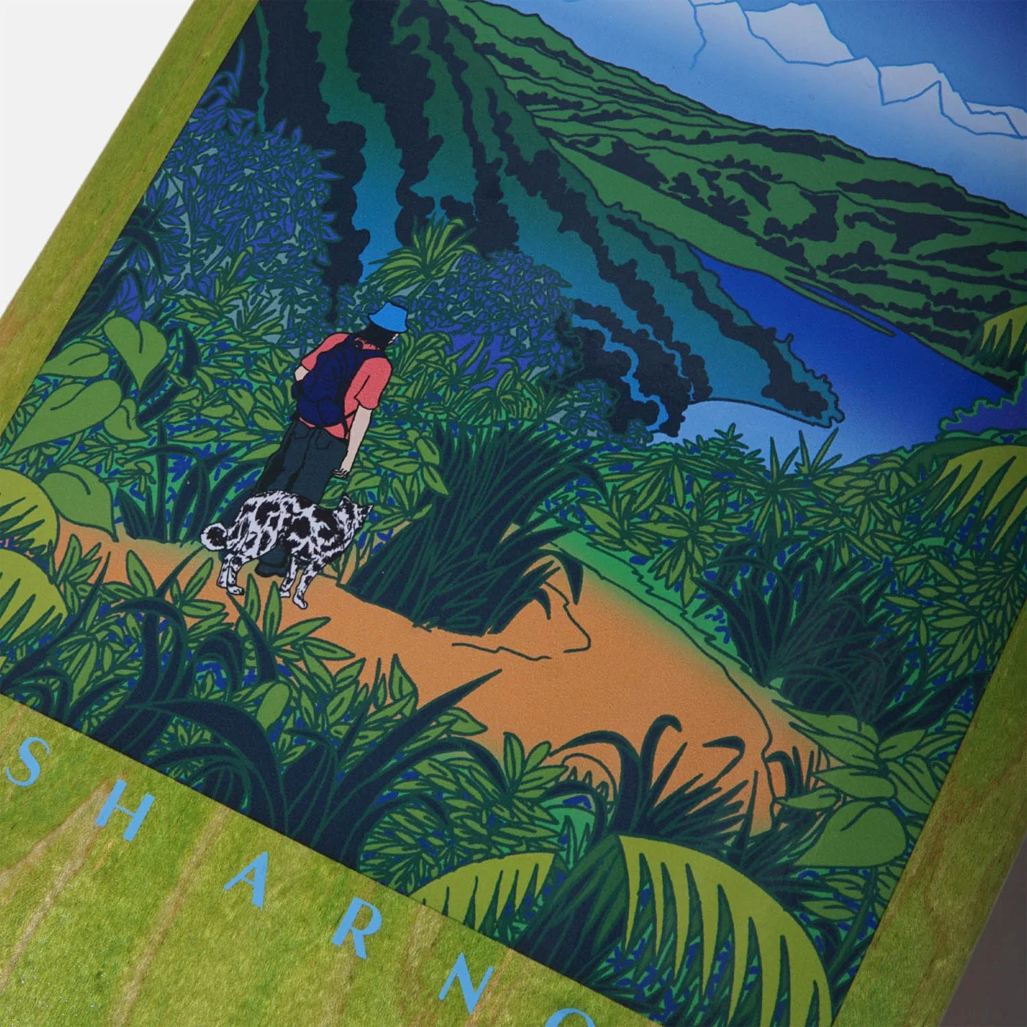 Skateboard Cafe - 8.5" Mountains Skateboard Deck - Green - Image 3