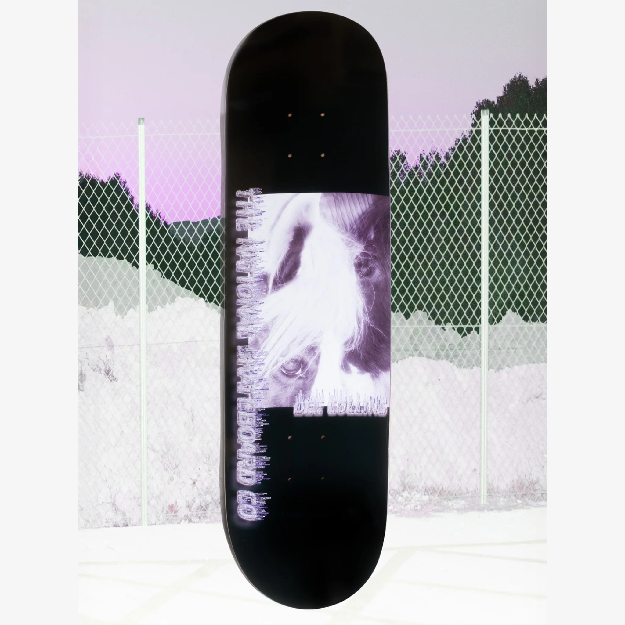 The National Skateboard Co. - 8.125" Dee Collins Horse Canal Skateboard Deck - Image 3