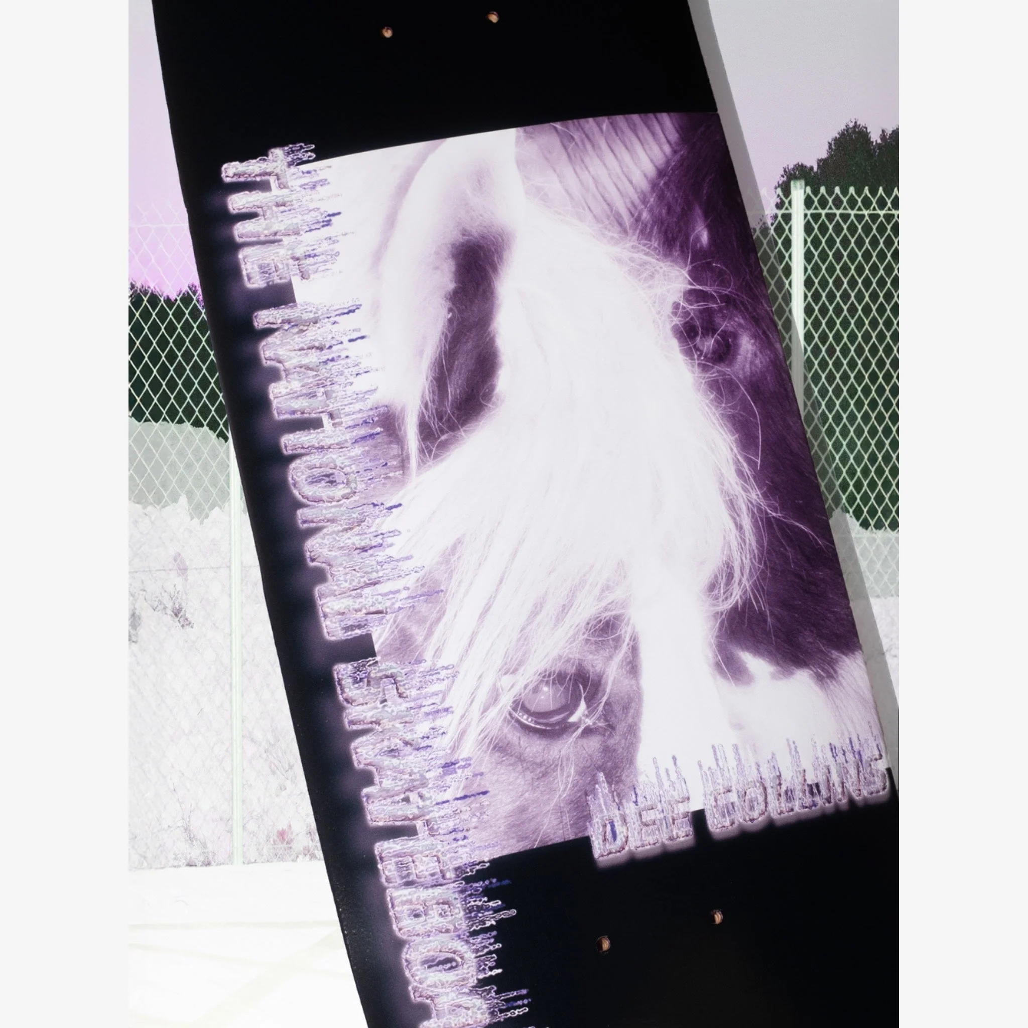The National Skateboard Co. - 8.25" - DEE COLLINS HORSE CANAL - SKATEBOARD DECK - SQUARE SHAPE -  HIGH CONCAVE - Image 2